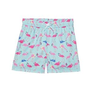 Janie and Jack Pink flamingo Swim Shorts and matching pink t-shirt set size 4